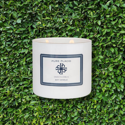 Sweet Citrus Soy Candle