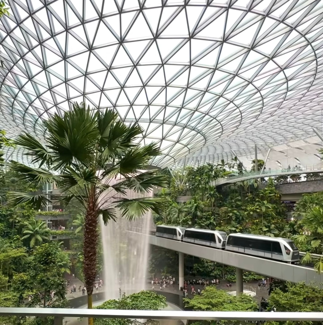 My Singapore Arrival - March 2025 entry 4