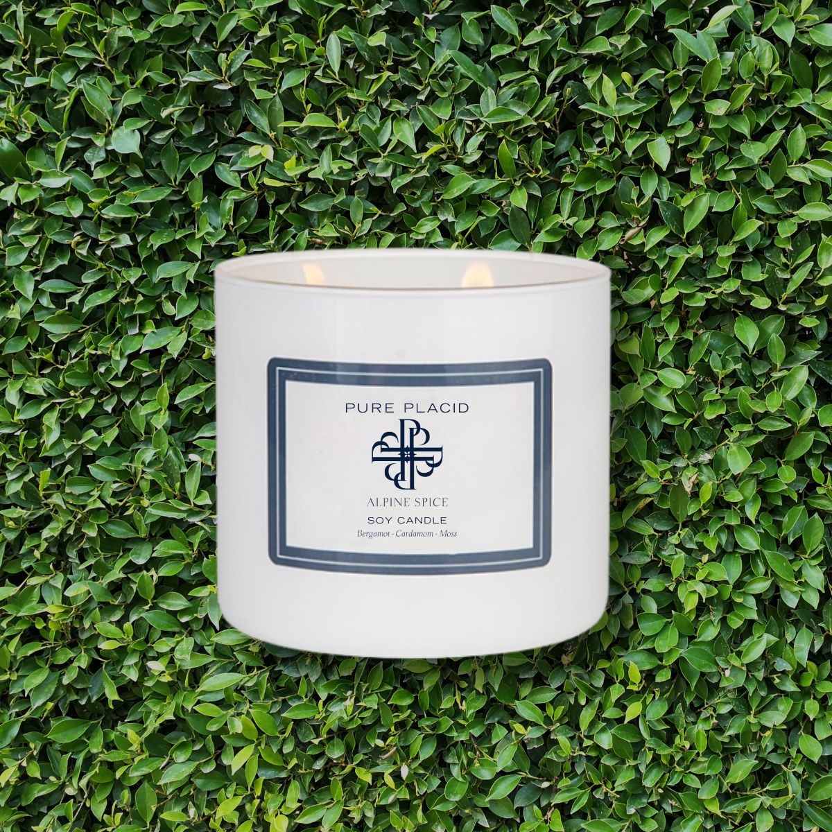 Alpine Spice Soy Candle