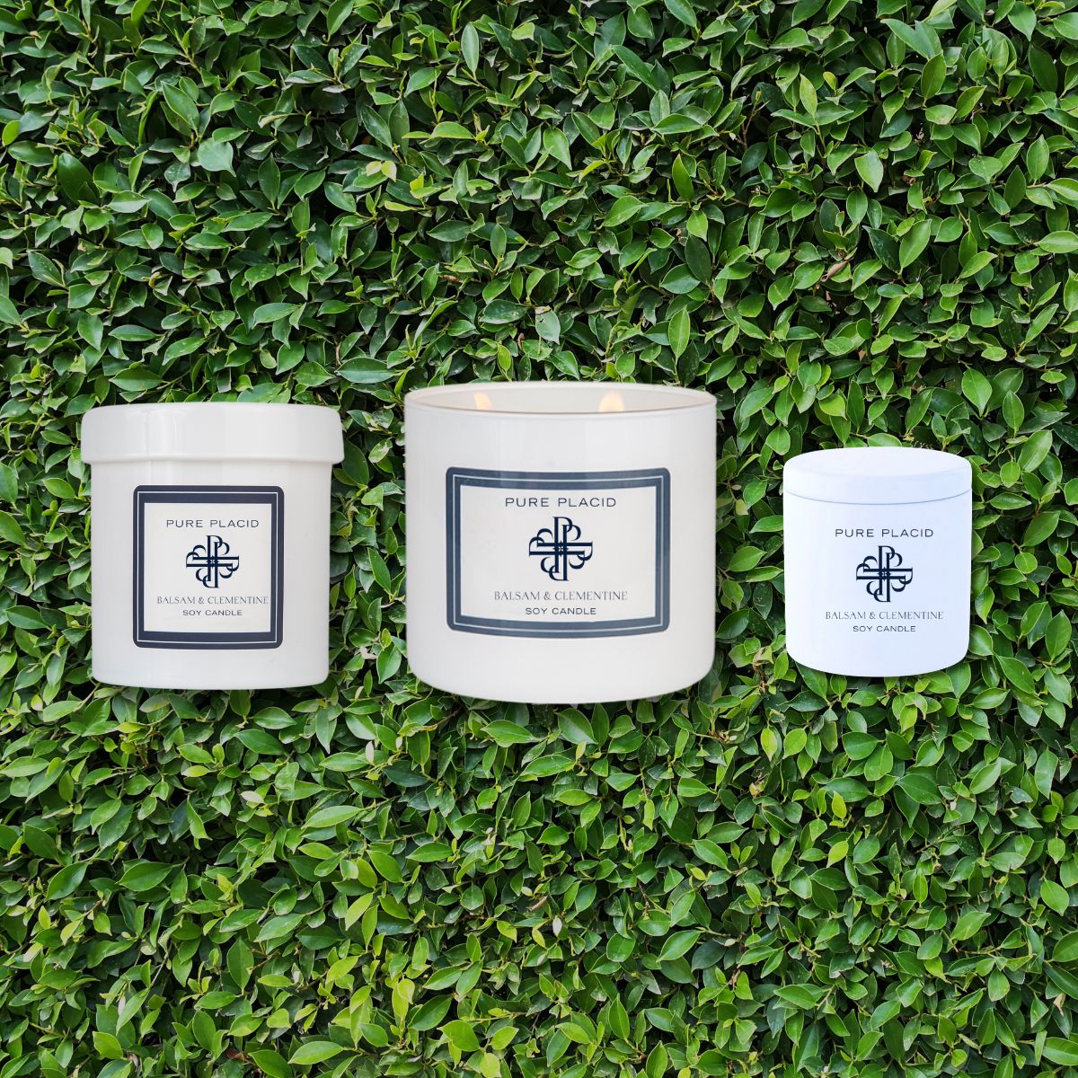 Balsam and Clementine Soy Candle