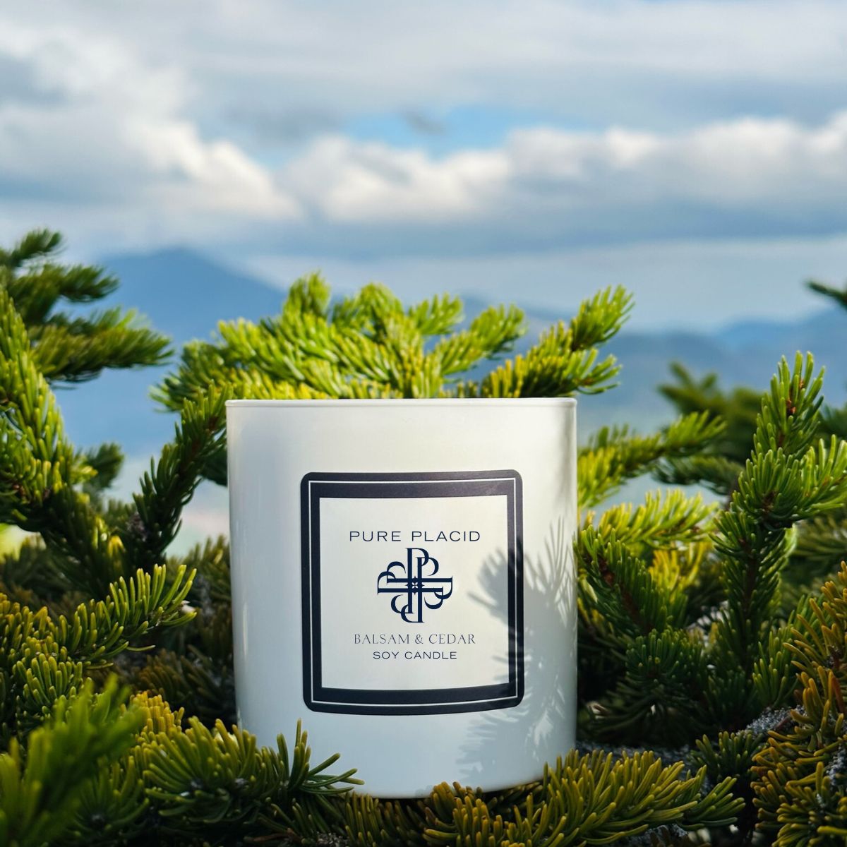 Balsam and Cedar Soy Candle