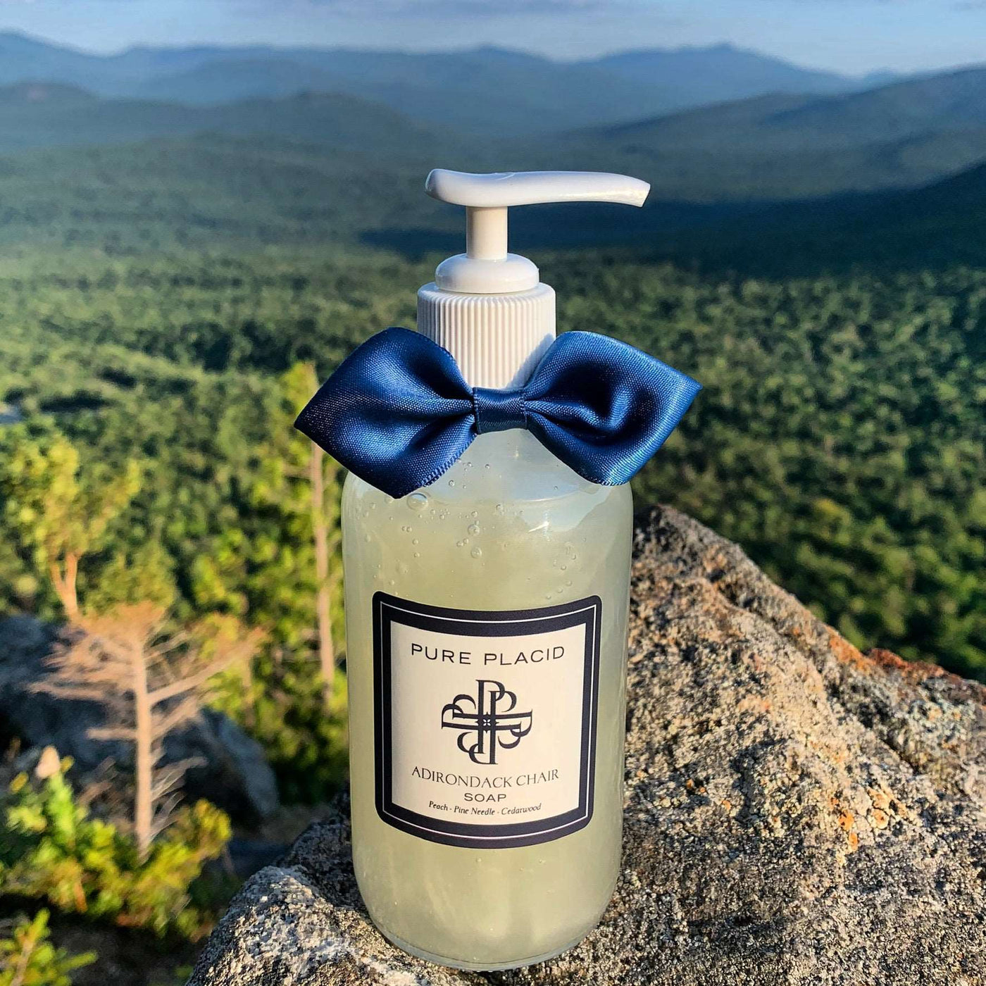 Adirondack Chair Hand Soap-Hand Soap-Pure Placid