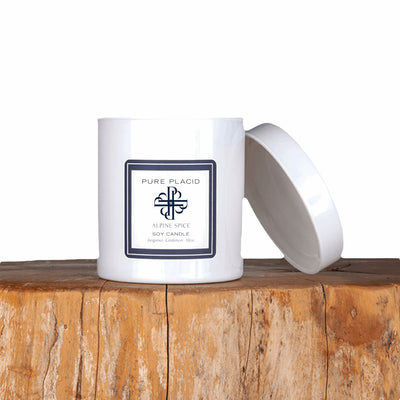 Alpine Spice Soy Candle-Soy Candle-Pure Placid