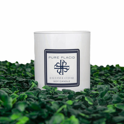 Balsam and Cedar Soy Candle-Soy Candle-Pure Placid