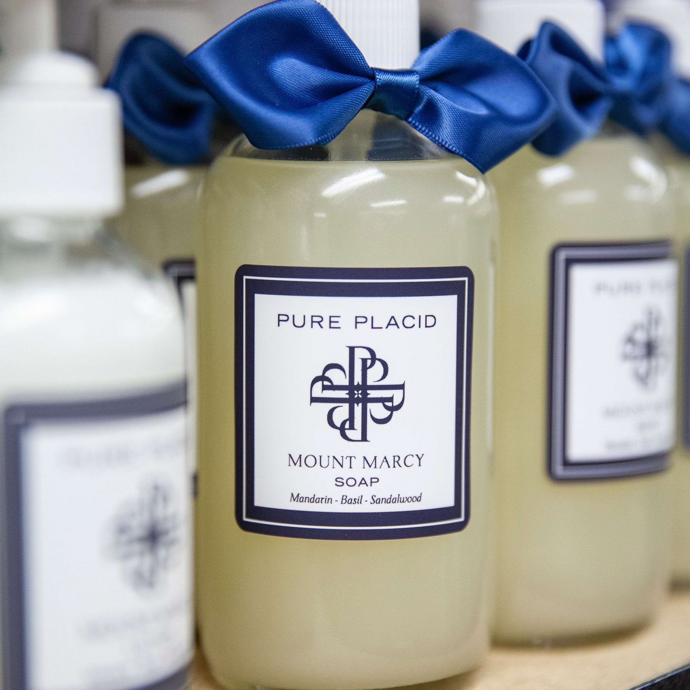 Mount Marcy Hand Soap-Hand Soap-Pure Placid