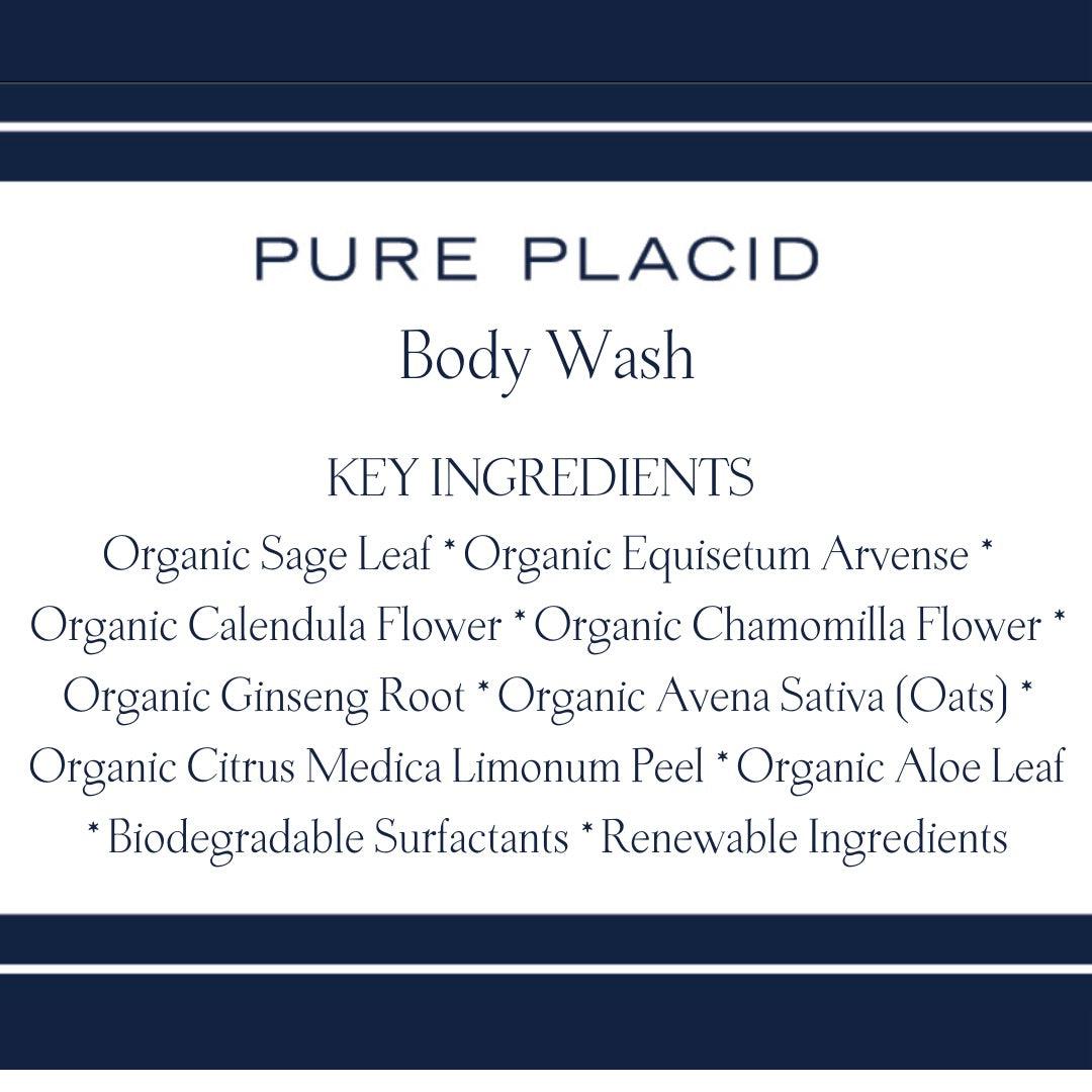 Sweet Citrus Body Wash-Body Wash-Pure Placid