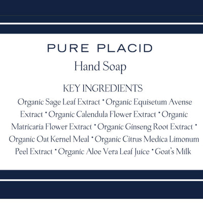 White Birch Hand Soap-Hand Soap-Pure Placid